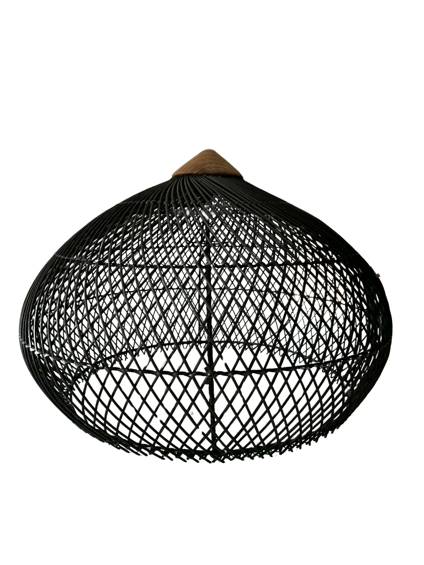 Sana Rattan and Timber Light Shade