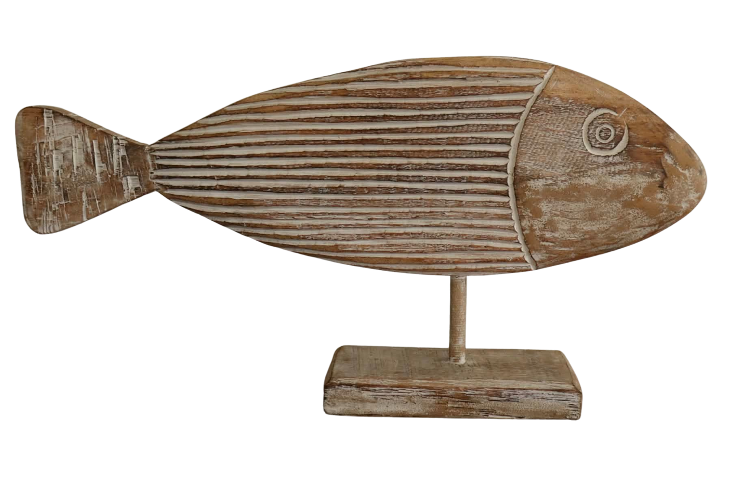 Barry the Fish