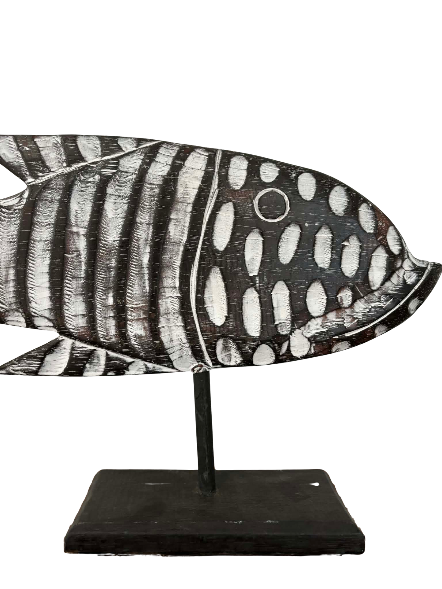 Coral and Murray the Fish